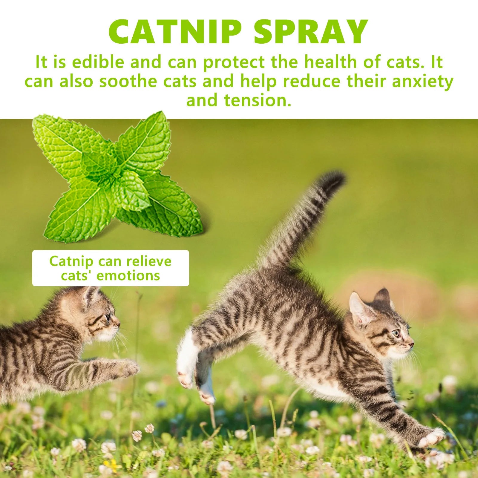 100ml Cat Catnip  Pet Calm Spray