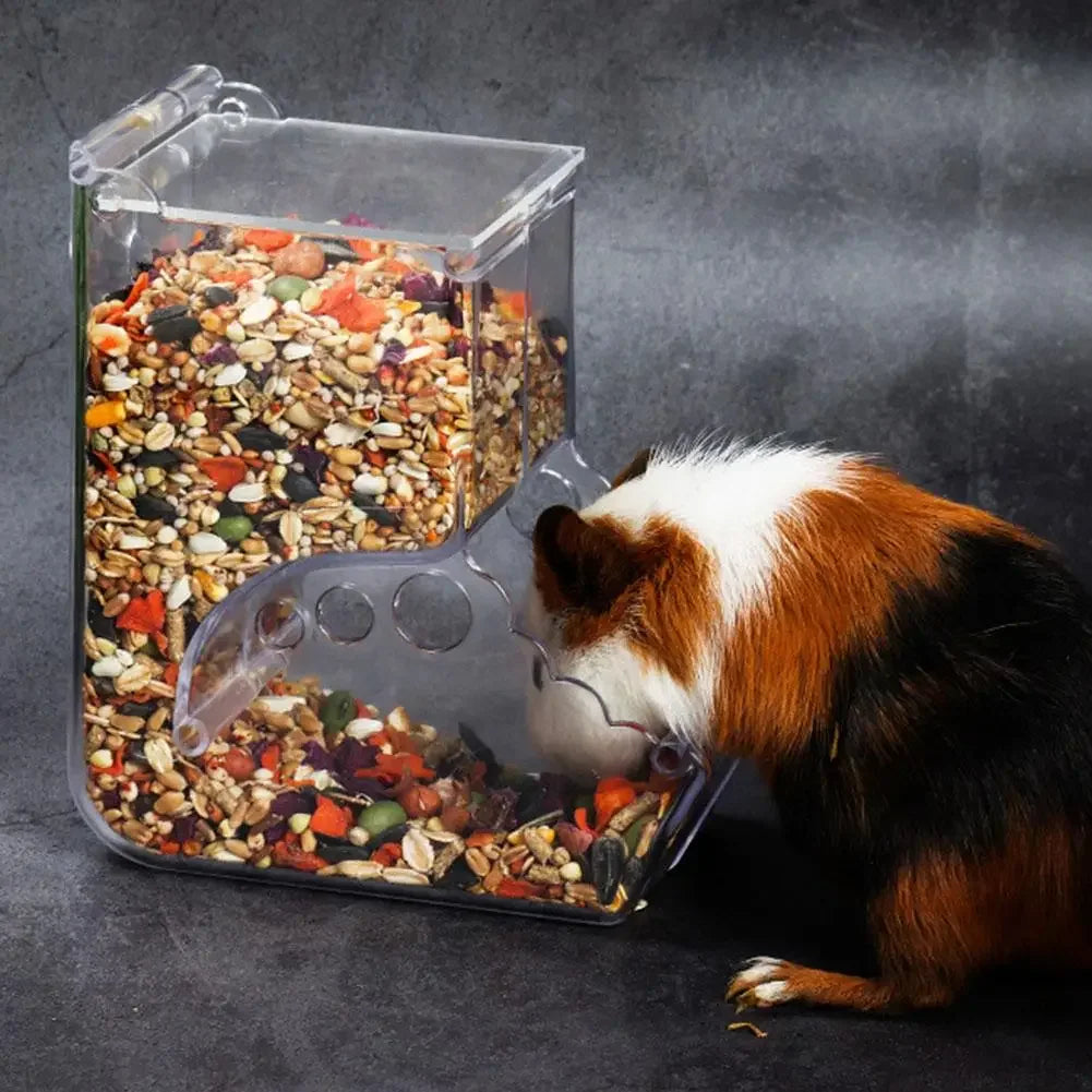 Automatic Pet Feeder For Hamster Guinea Pig
