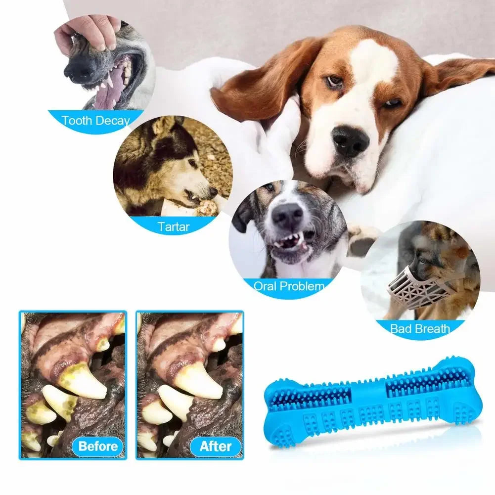 1PC Pet Chew Toy  Dog Toothbrush Chew Stick