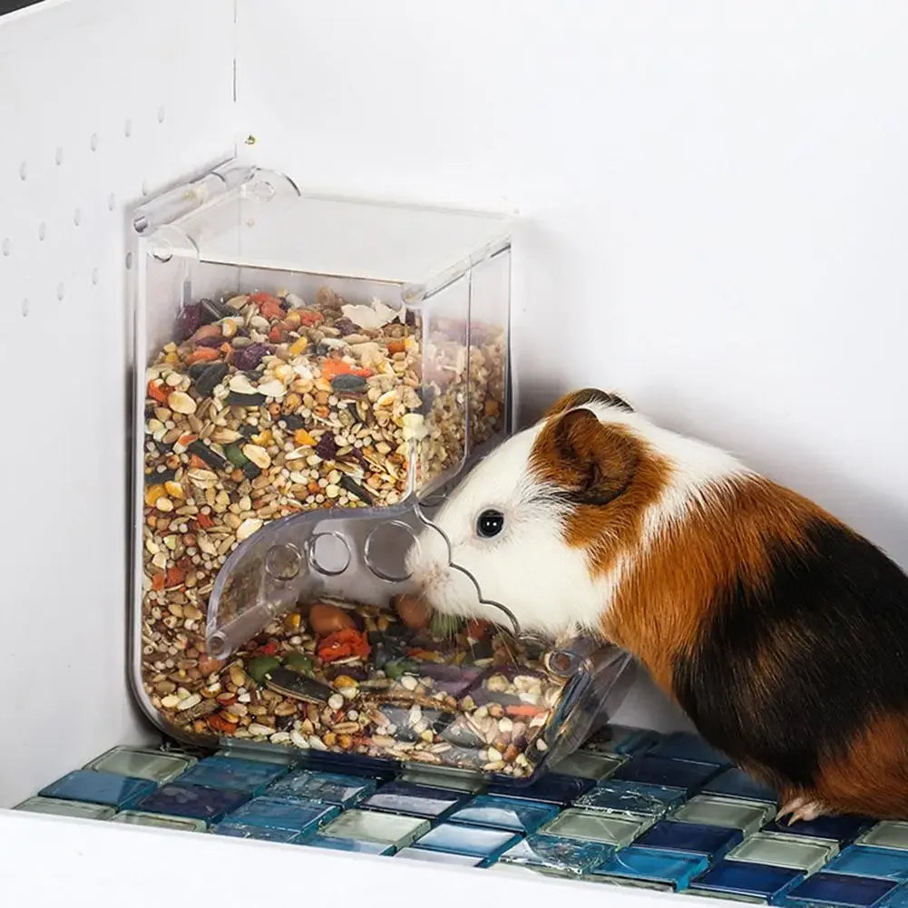 Automatic Pet Feeder For Hamster Guinea Pig