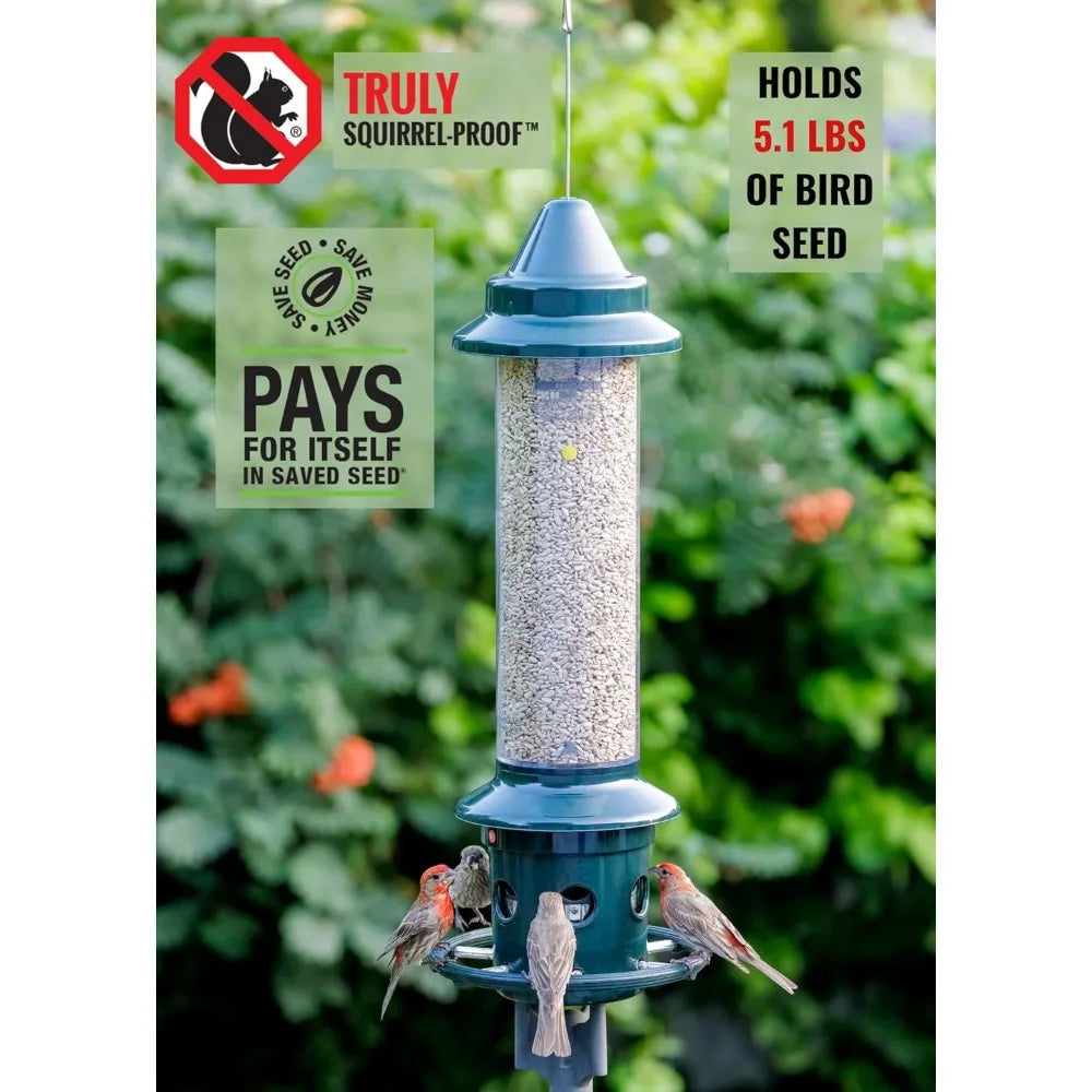 Squirrel Buster Plus Squirrel-proof Bird Feeder