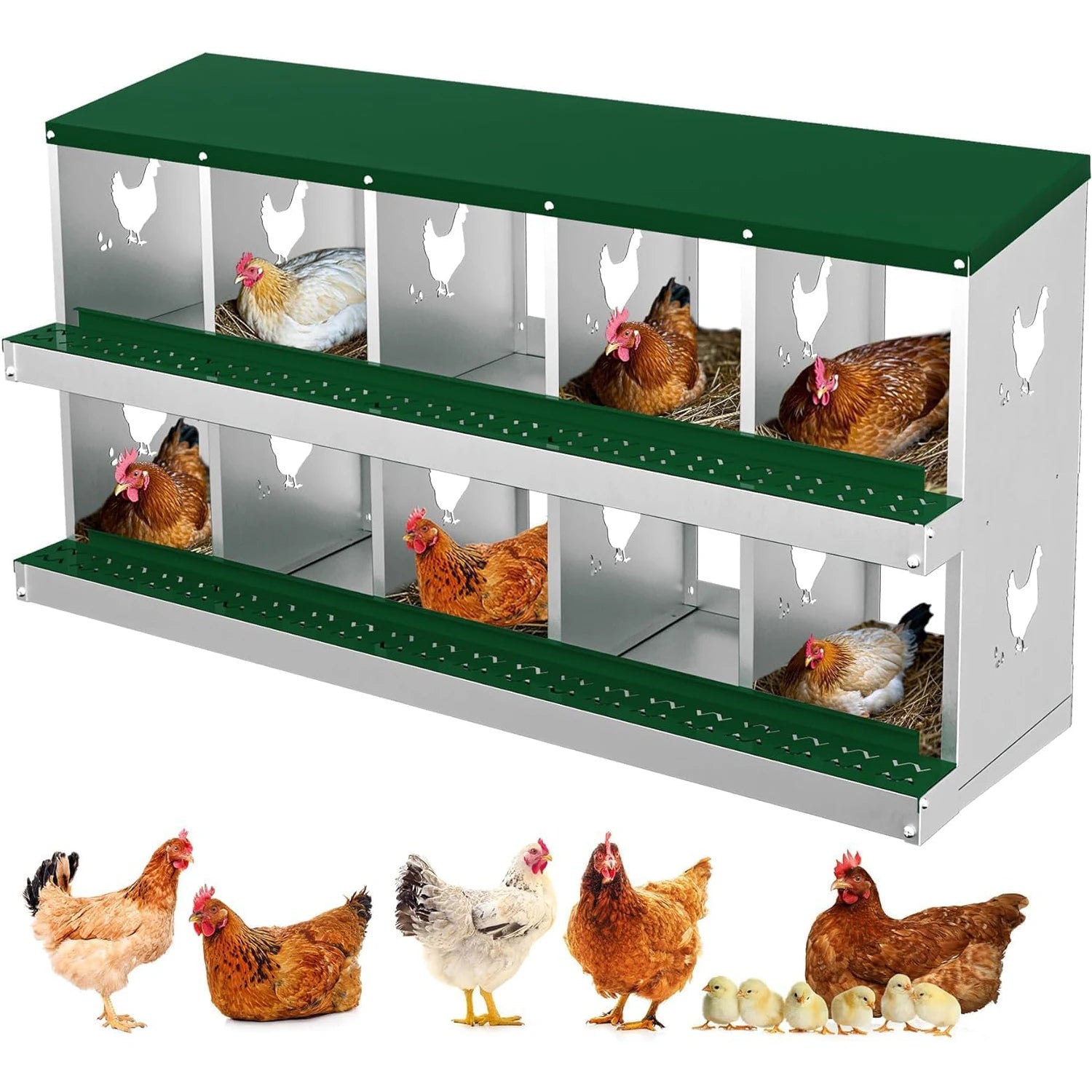 Steel Egg Laying Box  Wall-Mountable for Poultry Coops